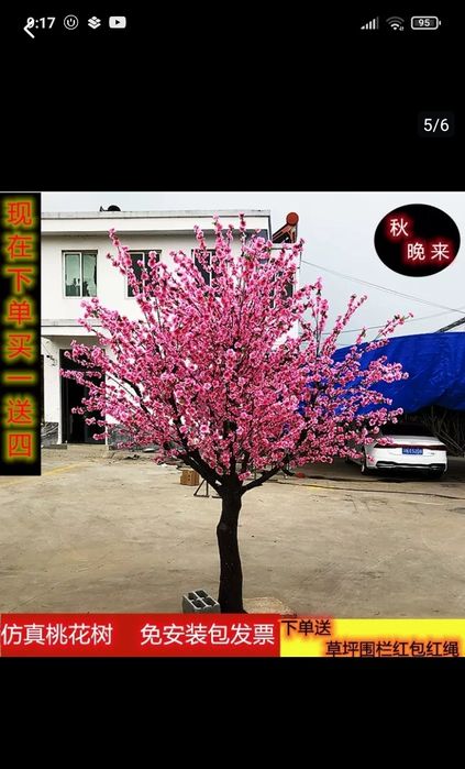 Dikarativni daraxtlar