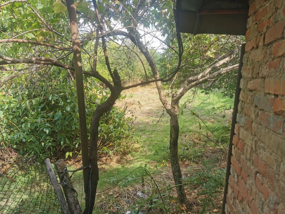 Продава се Къща в с. Алеково, Област Силистра - 165 кв.м за 124 €/кв.м - Снимка #17