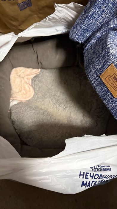 Къщичка за котка + тоалетна + легълце