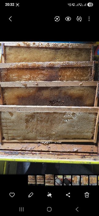 Vând rame 1/2 600 buc pret 8 lei/buc negociabil la toata cantitatea
Pr