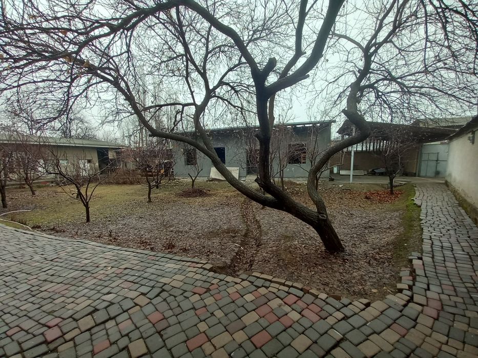 Продаётся дом в цене земли Алмаз маххаля