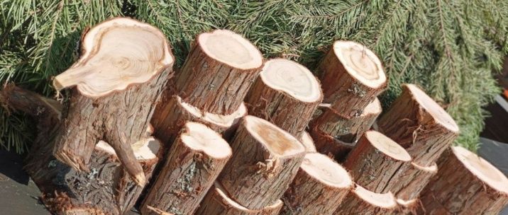 Продам Газель пеньков по выгодной цене