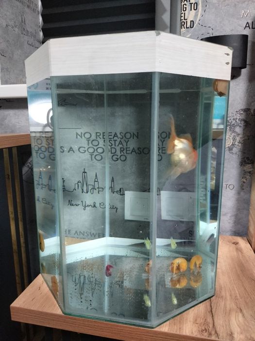 Аквариум  сотилади