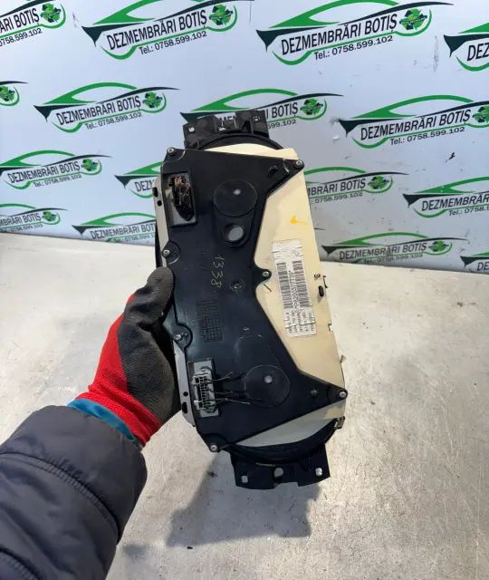 Ceasuri bord Renault Scenic 2002 1.9 dCi MT (90 hp)