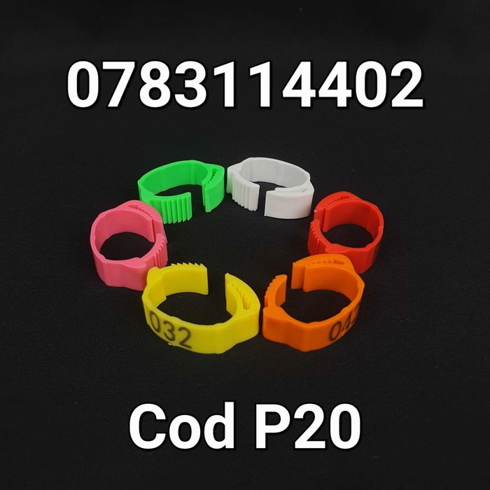 Curci Australorp Sussex Pasari Gaini Gaste Fazani-CLEME Ajustabile-P20