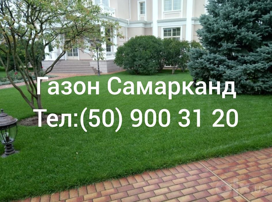 Газон екиш хизмати