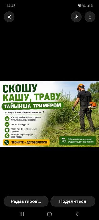 Кашу траву тайынша