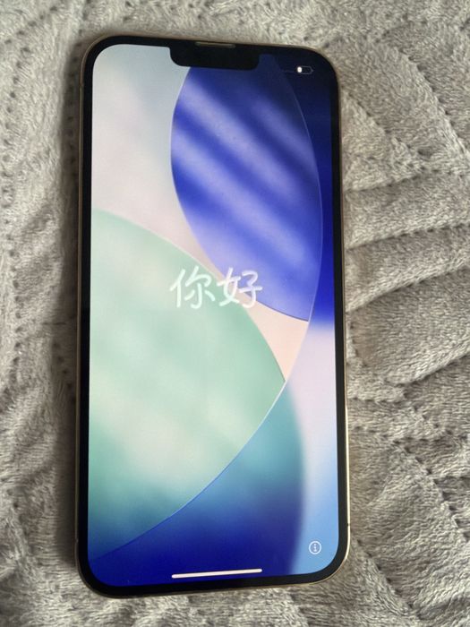 Apple Phone 13 pro max 256 gb