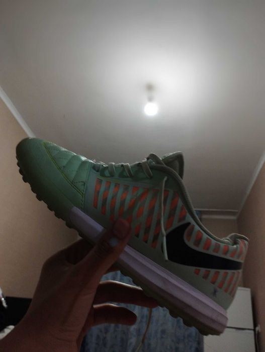 Сороконожки лунар гато