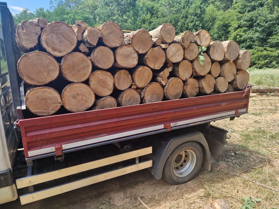 Lemne de foc esenta tare