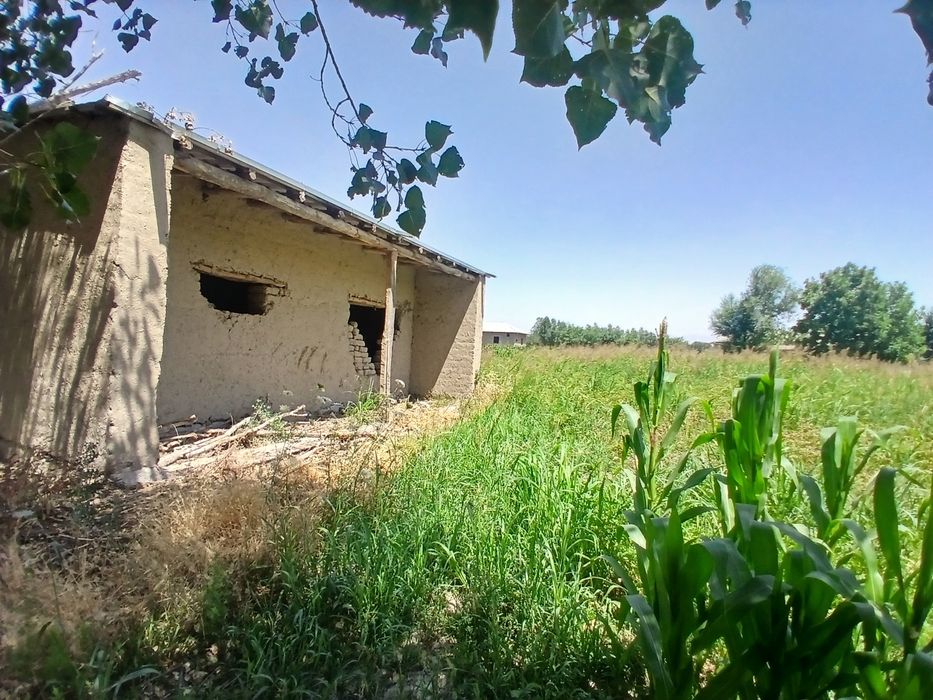 Yer sotiladi  srochniy