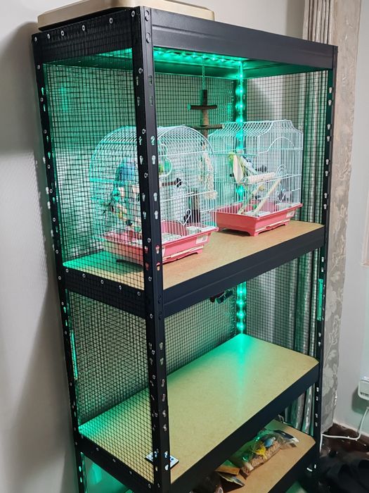 Perusi, papagali mici, se vinde.