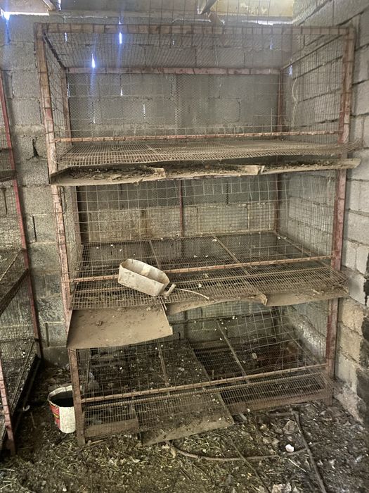 Клетка для кур несушек