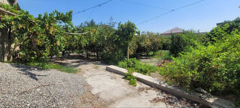 Эълон 22 сотхли ховли сотилади Куштепада