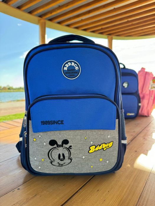 Школьные Сумки можно с доставкой