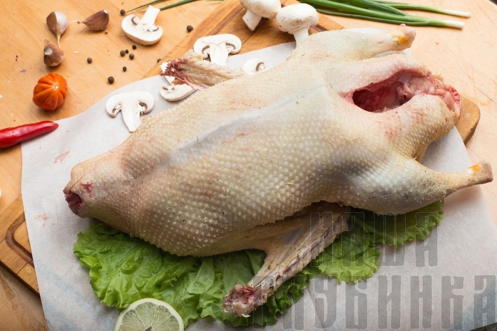 Гуси! Продам домашних гусей мясом!