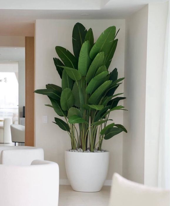 искусственное дерево Daraxt Iskustvinniy Premium class