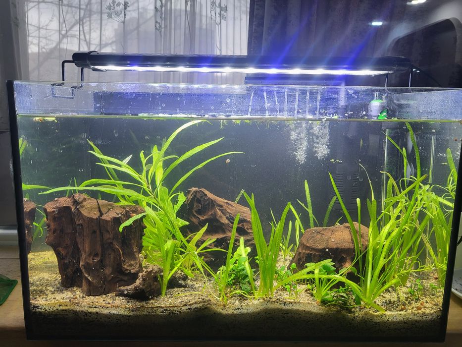 Acvariu (fara vietuitoare)