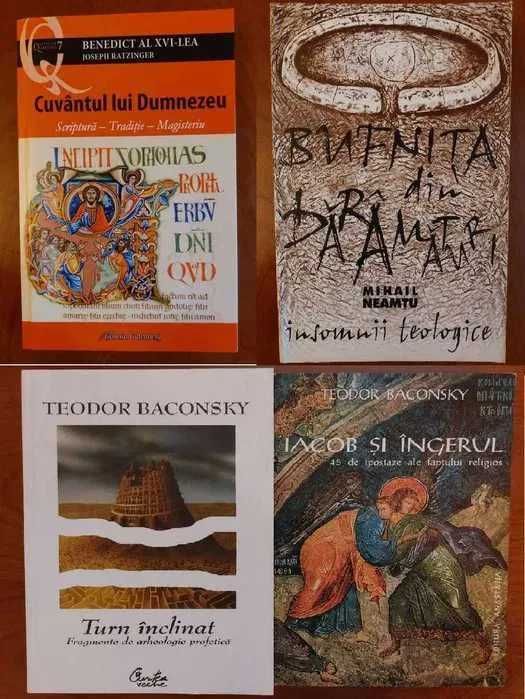 Proza/memorii romani/straini: Coposu Johnny Raducanu Doina Rusti etc