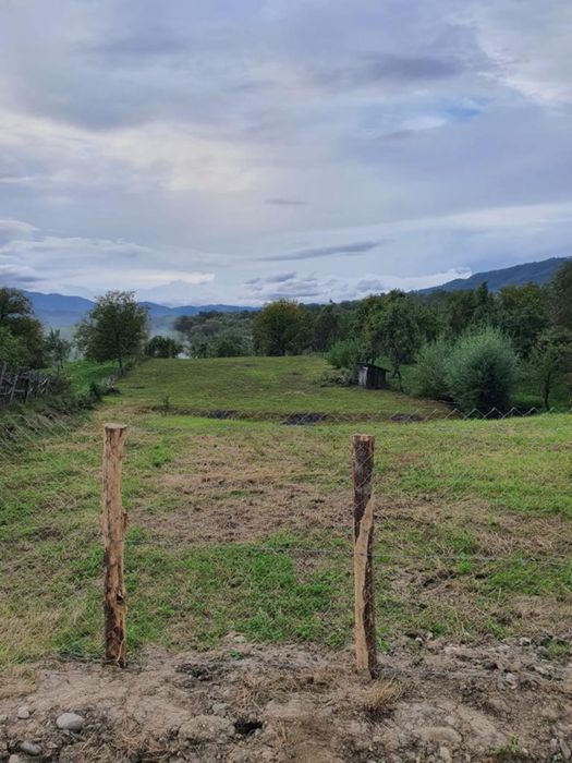 Teren Intravilan Arges, Corbsori