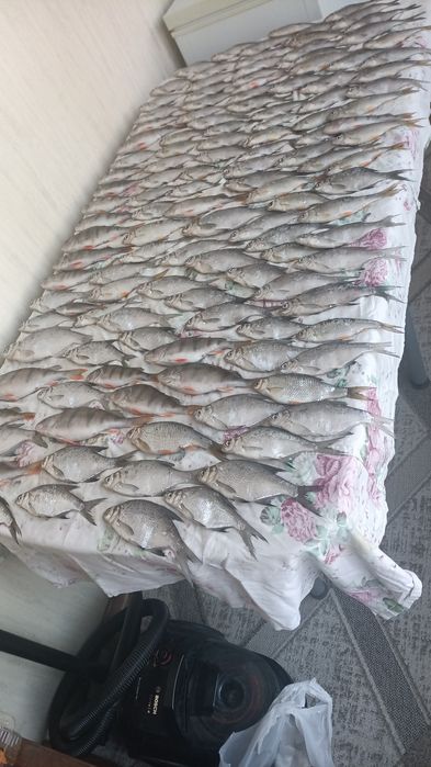 Рыба вяленная  местная