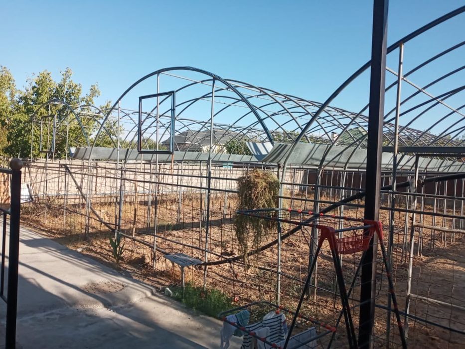 Теплица ………………..