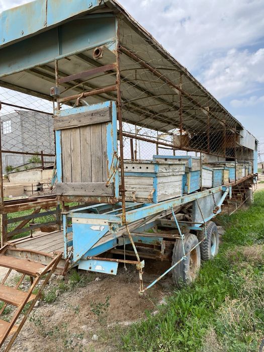 Вагон, тележка для пчёл. Asalarilar uchun vagon (arava).