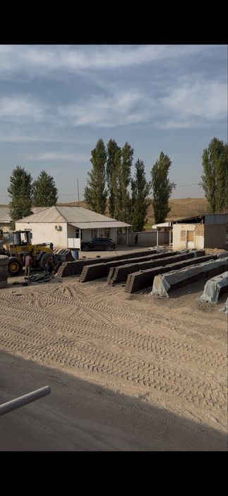 Pishgan gisht zavodan dastavka