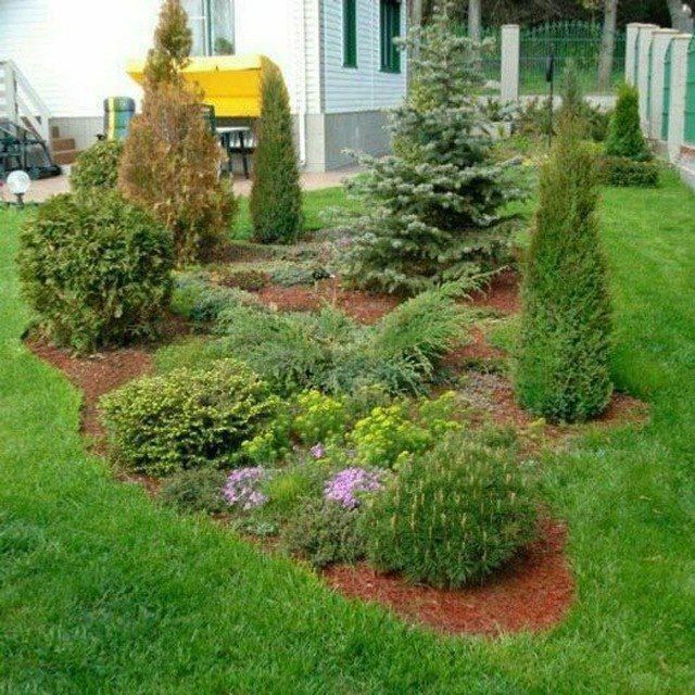 Gazon ekamiz va uruglarin sepamiz