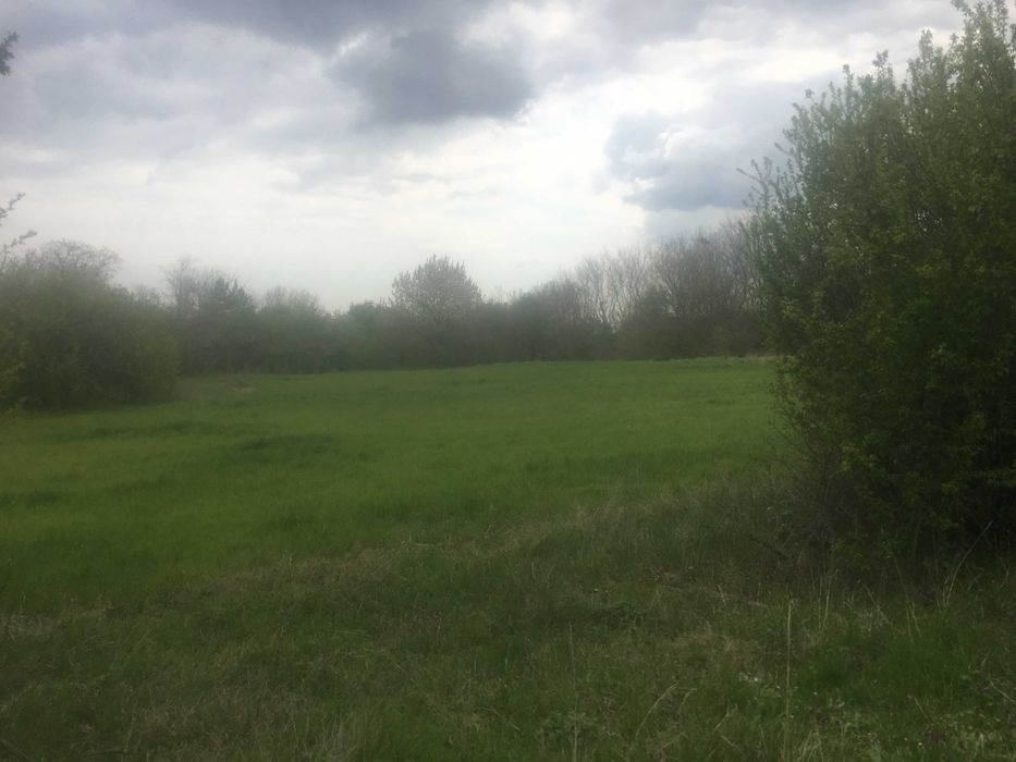 Продава се Къща в с. Видно, Област Добрич - 62 кв.м за 404 €/кв.м - Снимка #4