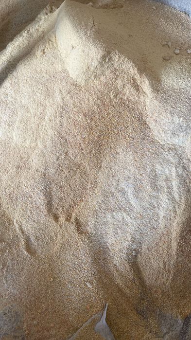 Корм  бидай,  жүгері жемі