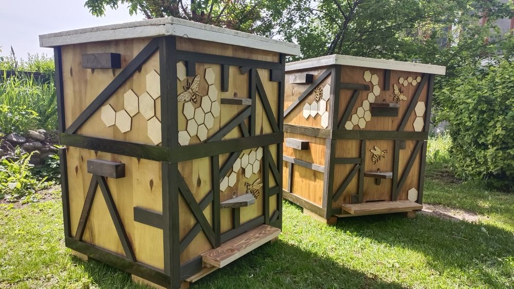 Продам мини пасику  пчёлы с ульями Карника  Бакфаст