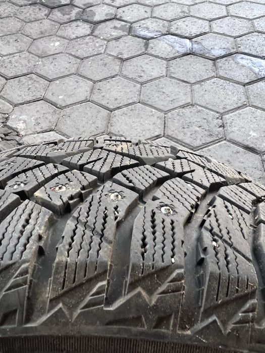 Шина зимняя 1 балон