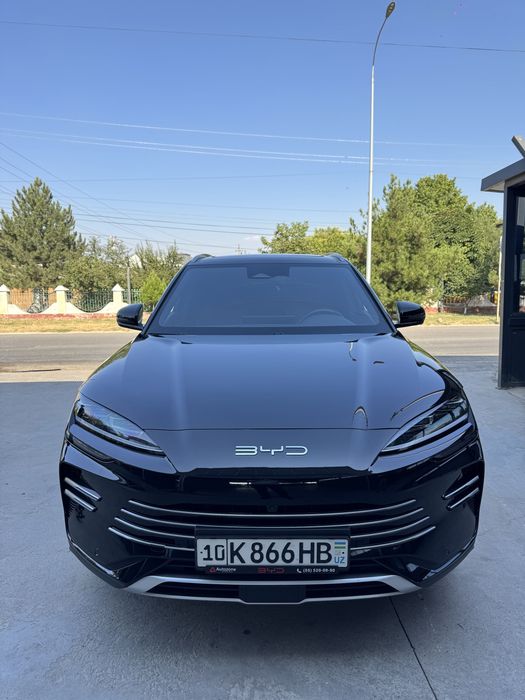 byd champion 2024 йил
