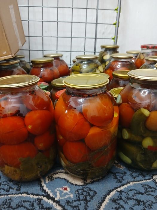 Помидор 2лр 1500тг