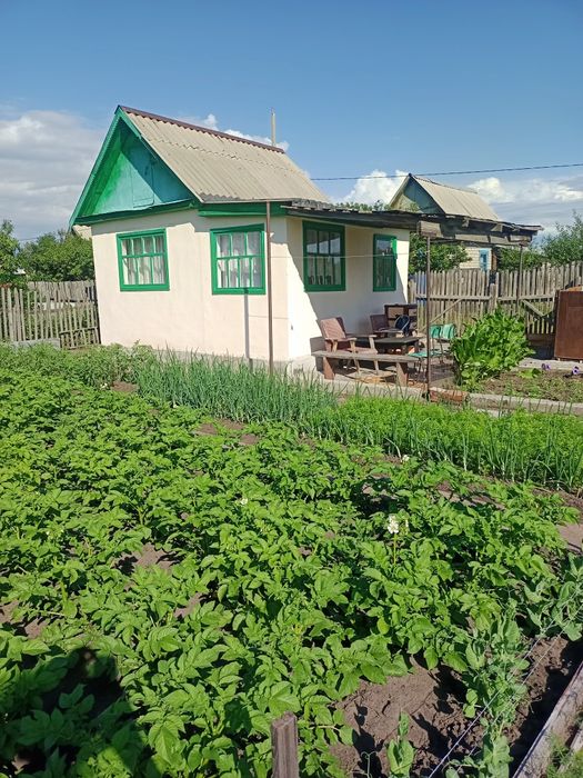 Продам дачу по 17 маршруту с урожаем