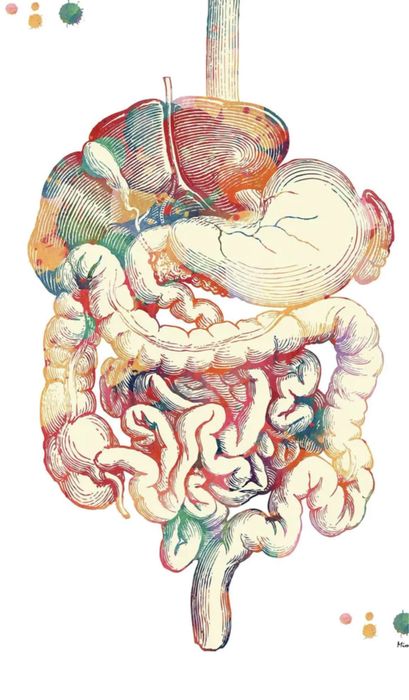 MEDITATII BAC biologie 11-12