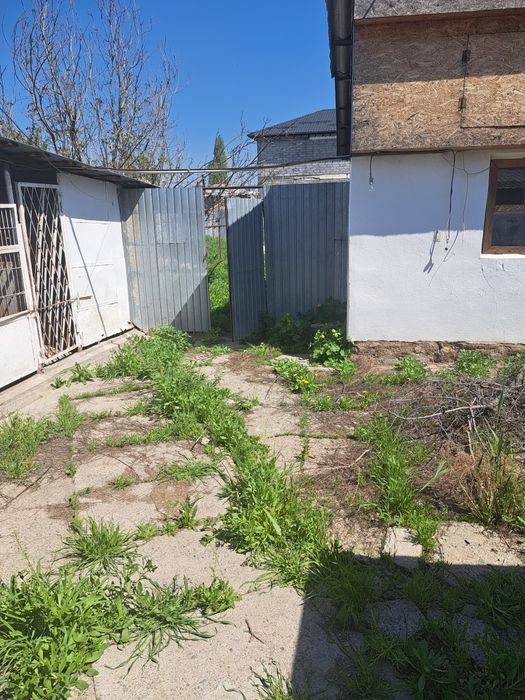 Продам дом в залинии