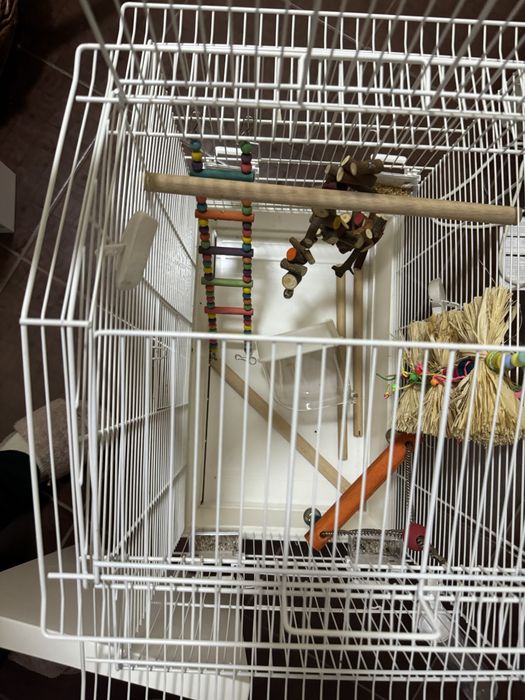 Рещетка для птиц