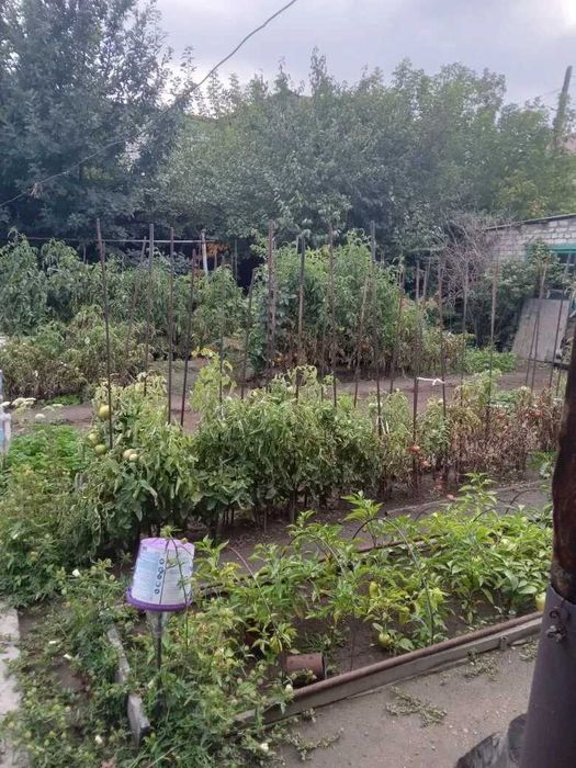 Продам дом на Восточном с огородом.