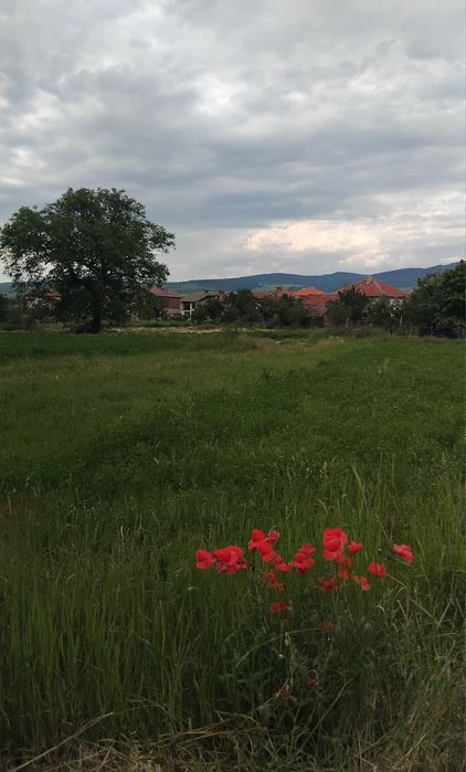 Продава се Парцел в с. Крайници, Област Кюстендил - 1940 кв.м за 9 €/кв.м - Снимка #1