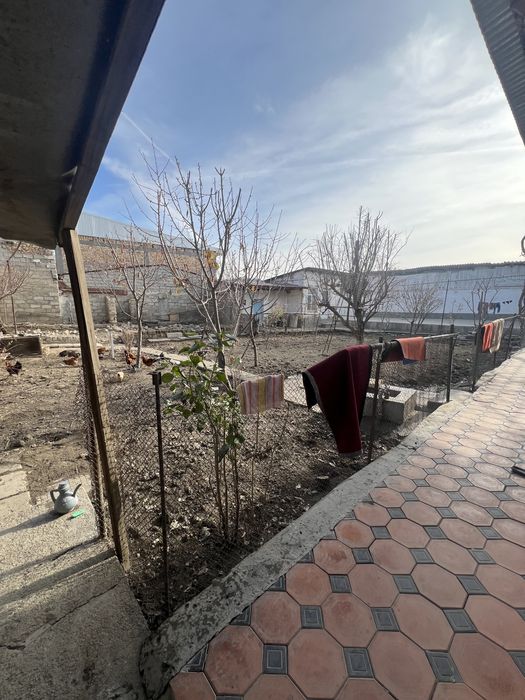 Hovli shahar urtasida 7 sutik