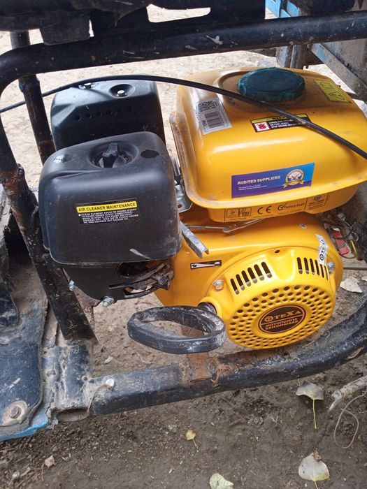 Savet mattaroli muravey