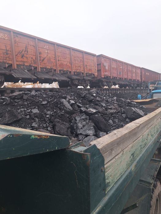 Уголь и дрова доставка есть