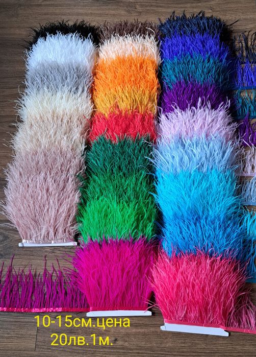 Щраусови пера на лента 10-15см.