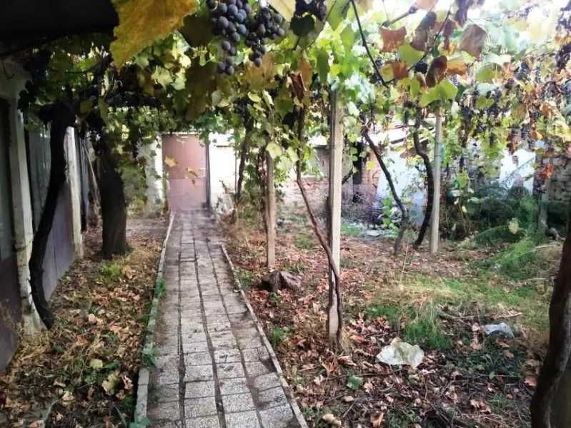Ръжево Конаре-Едноетажна тухлена къща с 325кв. двор
