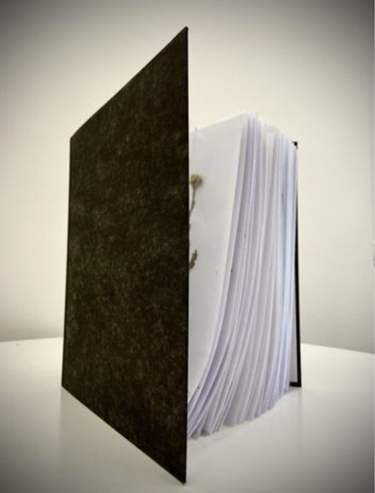 Ierbar scolar plante