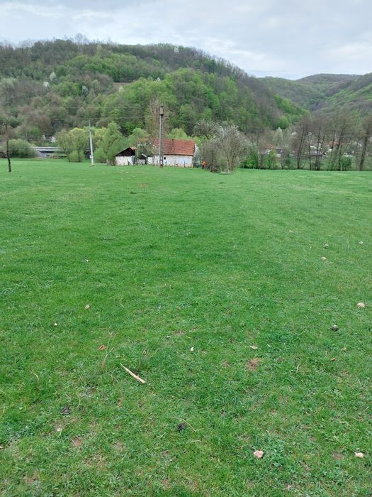 Vând Teren + Casa și anexe