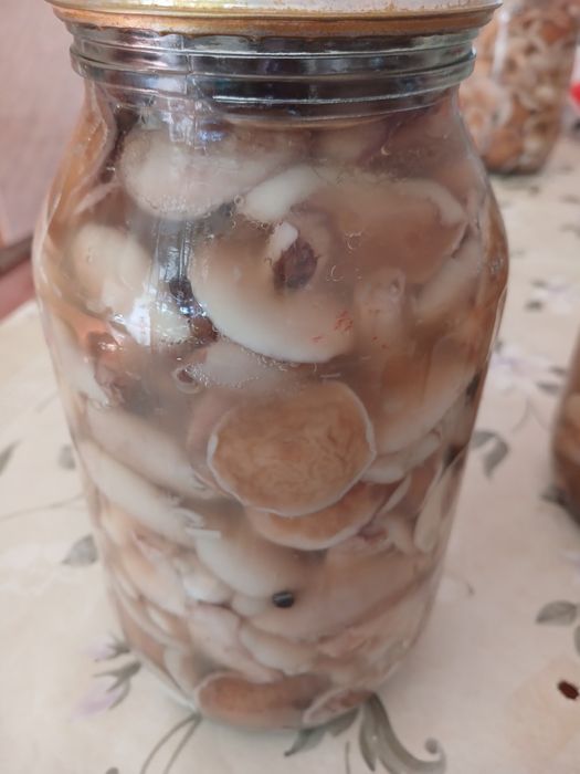 Грибы маринованные маслята