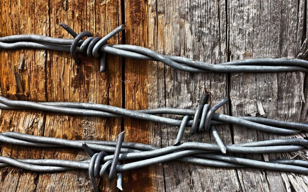 Колючая проволока и Егоза. Tikonli sim Egoza. Kalyuchi provolka Yegoza